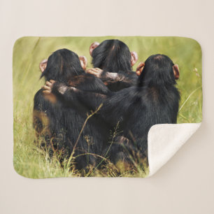 Couverture Sherpa Animaux de bébés cutest Trois chimpanzés en trai