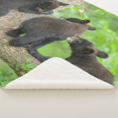 Couverture Sherpa Animaux de bébés cutest | Trois jeunes petits ours (3/4)