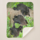 Couverture Sherpa Animaux de bébés cutest | Trois jeunes petits ours (Devant)