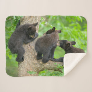 Couverture Sherpa Animaux de bébés cutest   Trois jeunes petits ours