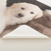 Couverture Sherpa Animaux de bébés cutest | Un mignon seau de chiots (3/4)