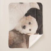 Couverture Sherpa Animaux de bébés cutest | Un mignon seau de chiots (Devant)