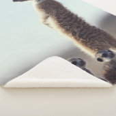 Couverture Sherpa Animaux de bébés cutest | Une famille de Meerkats (3/4)