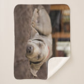 Couverture Sherpa Animaux de bébés cutest | Weimaraner Puppy Sleepin (Devant)