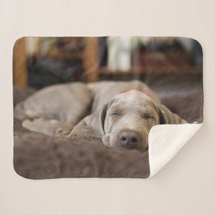 Couverture Sherpa Animaux de bébés cutest Weimaraner Puppy Sleepin
