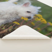 Couverture Sherpa Animaux de bébés cutest | West Highland White Terr (3/4)