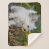 Couverture Sherpa Animaux de bébés cutest | West Highland White Terr (Devant)