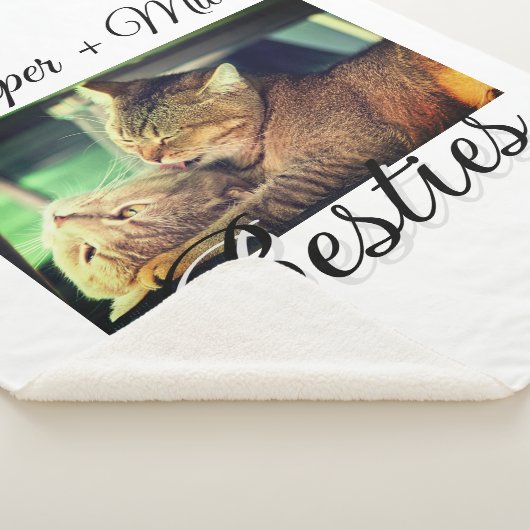 Couverture Sherpa Animaux de compagnie amis besties ajouter nom anim (3/4)