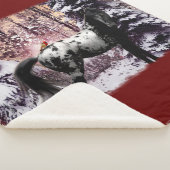 Couverture Sherpa Appaloosa & Cardinals 2023 (3/4)