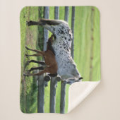 Couverture Sherpa Appaloosa Mare et Cheval de Colt (Devant)