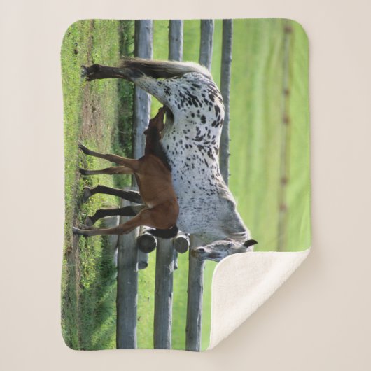Couverture Sherpa Appaloosa Mare et Cheval de Colt (Devant)