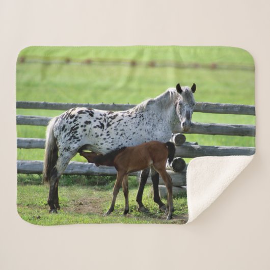 Couverture Sherpa Appaloosa Mare et Cheval de Colt (Devant (Horizontal))