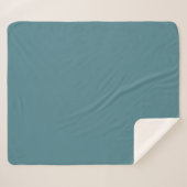 Couverture Sherpa Aqua - Turquoise - Turquoise - Couleur solide bleu (Devant (Horizontal))