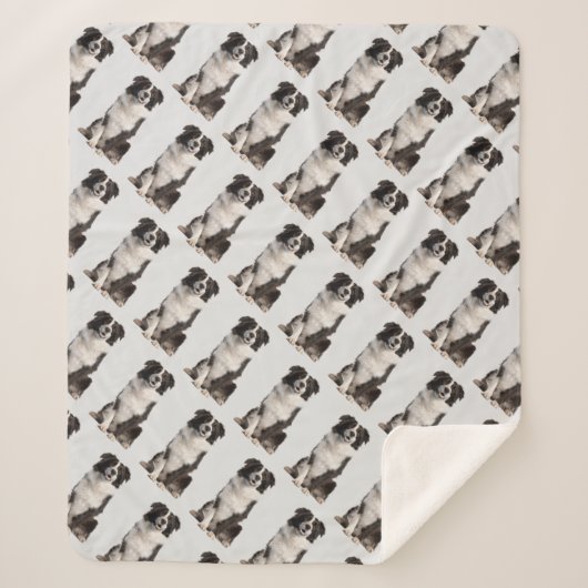 Couverture Sherpa Aquarelle Bordure Collie Chien Animal de compagnie (Devant)