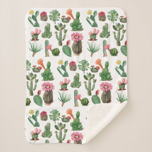 Couverture Sherpa Aquarelle colorée Cactus et succulents Fleurs (Devant)