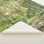 Couverture Sherpa aquarelle de peinture de rainures sur soie (3/4)