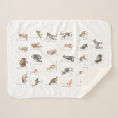 Couverture Sherpa Aquarelle mignonne Alphabet animal (Devant (Horizontal))