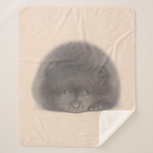 Couverture Sherpa Aquarelle Poméranie Noire (Devant)