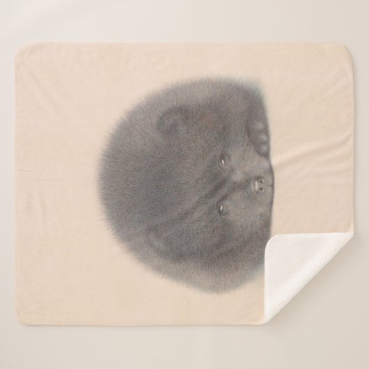 Couverture Sherpa Aquarelle Poméranie Noire (Devant (Horizontal))