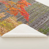 Couverture Sherpa Arbre à érable avec couleurs d'automne (3/4)