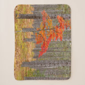 Couverture Sherpa Arbre à érable avec couleurs d'automne (Devant)