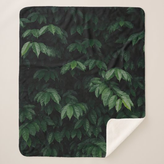 COUVERTURE SHERPA ARBRE VERT (Devant)