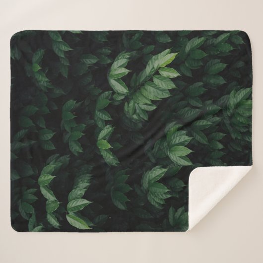 COUVERTURE SHERPA ARBRE VERT (Devant (Horizontal))