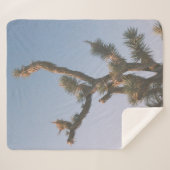 COUVERTURE SHERPA ARBRE VERT ET BROWN SOUS LE CIEL BLEU (Devant (Horizontal))