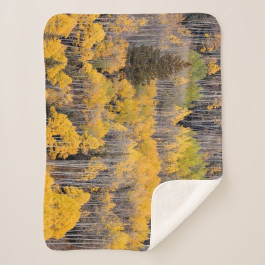 Couverture Sherpa Arbres d'Aspen | White River National Forest (Devant)