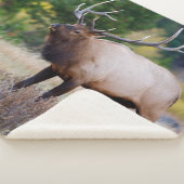 Couverture Sherpa Arbres de taureaux et d'Aspen | Parc national des (3/4)