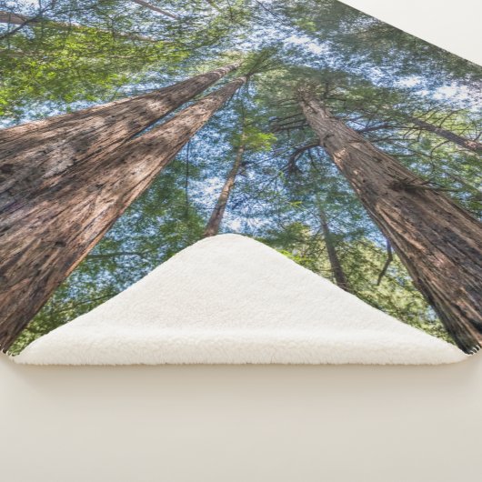 Couverture Sherpa Arbres séquoias | Comté de Marin, Californie (3/4)