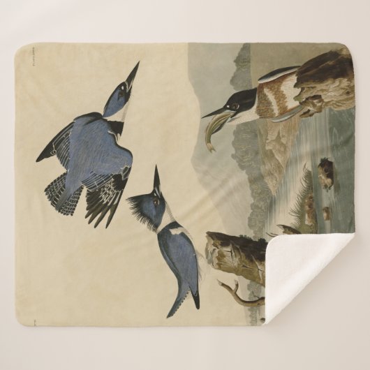 Couverture Sherpa Audubon Belted Kingfisher Wildlife Bird (Devant (Horizontal))