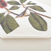 Couverture Sherpa Audubon Bonaparte Flycatcher Bird (3/4)