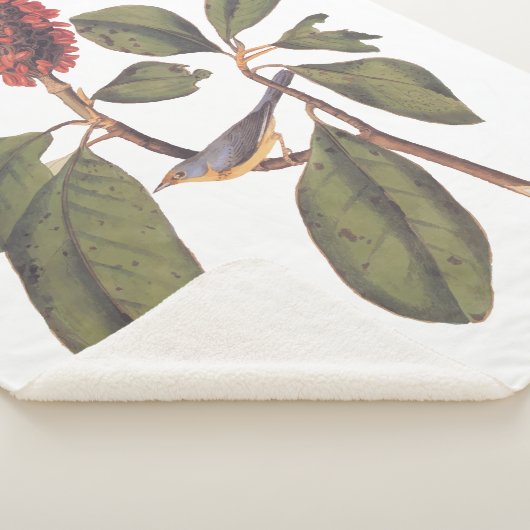 Couverture Sherpa Audubon Bonaparte Flycatcher Bird (3/4)