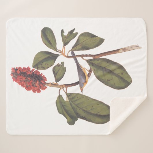 Couverture Sherpa Audubon Bonaparte Flycatcher Bird (Devant (Horizontal))