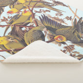 Couverture Sherpa Audubon Carolina - Éclosion de perruques (3/4)