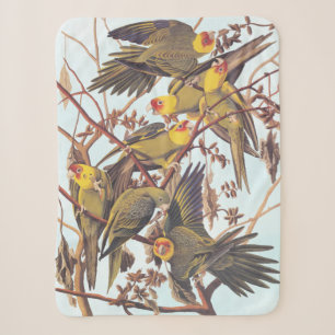 Couverture Sherpa Audubon Carolina - Éclosion de perruques