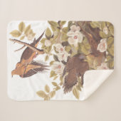 Couverture Sherpa Audubon Carolina Turtle Dove (Devant (Horizontal))