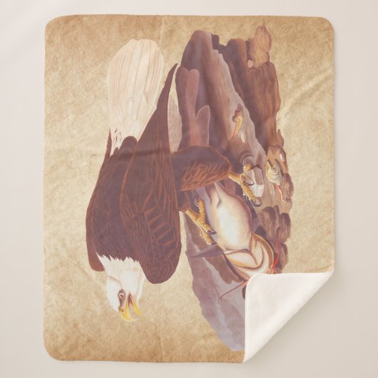 Couverture Sherpa Audubon Classic Bald Eagle avec poisson frais (Devant)