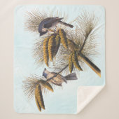 Couverture Sherpa Audubon Crested Titmouse Birds in Pine Tree (Devant)