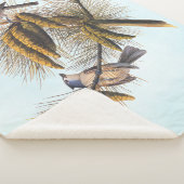 Couverture Sherpa Audubon Crested Titmouse Birds in Pine Tree (3/4)