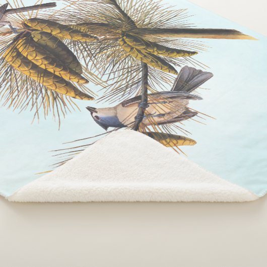 Couverture Sherpa Audubon Crested Titmouse Birds in Pine Tree (3/4)
