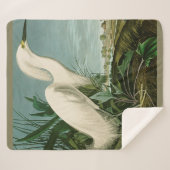 Couverture Sherpa Audubon Héron de neige Oiseaux d'aigrettes blanche (Devant (Horizontal))