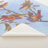 Couverture Sherpa Audubon Painted Bunting Birds is Wild Plum Tree (3/4)