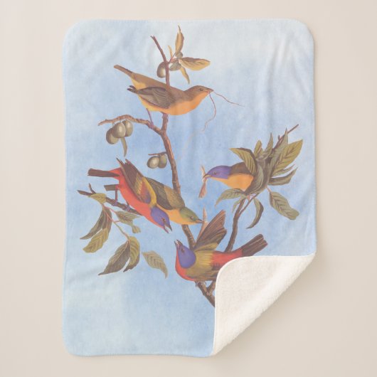 Couverture Sherpa Audubon Painted Bunting Birds is Wild Plum Tree (Devant)
