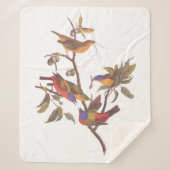 Couverture Sherpa Audubon Painted Bunting Birds is Wild Plum Tree (Devant)