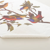 Couverture Sherpa Audubon Painted Bunting Birds is Wild Plum Tree (3/4)