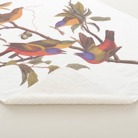 Couverture Sherpa Audubon Painted Bunting Birds is Wild Plum Tree (3/4)