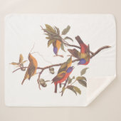 Couverture Sherpa Audubon Painted Bunting Birds is Wild Plum Tree (Devant (Horizontal))