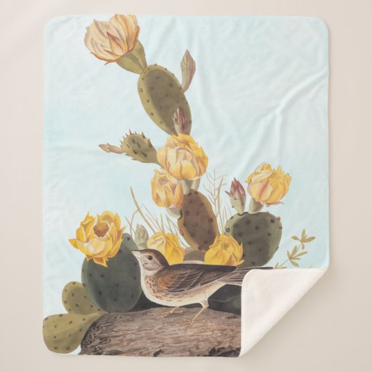 Couverture Sherpa Audubon Vesper Sparrow et Prickly Pear Cactus (Devant)